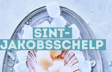 Aanbieding: SINT- JAKOBSSCHELP