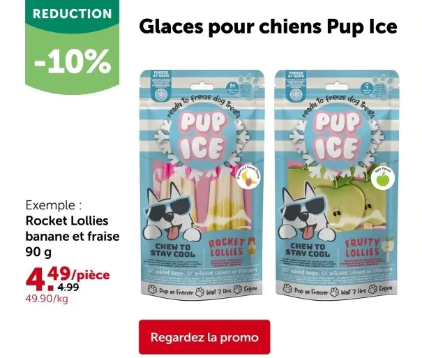 Offre: Glaces pour chiens Pup Ice