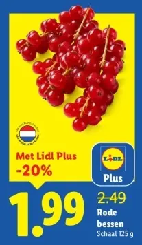 Aanbieding: Rode bessen