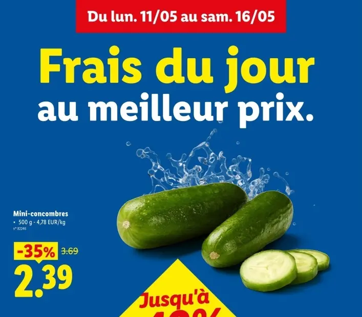 Offre: Mini-concombres