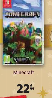 Offre: Minecraft