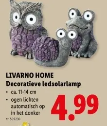 Promotie: Decoratieve ledsolarlamp