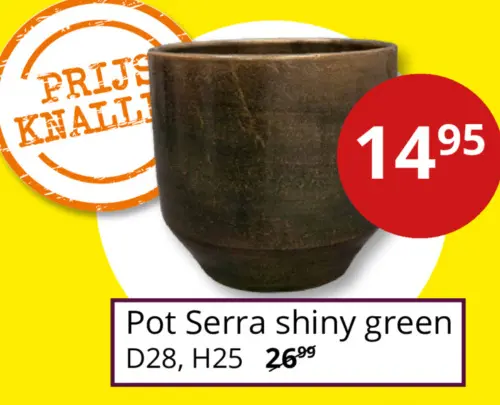 Aanbieding: Pot Serra shiny green