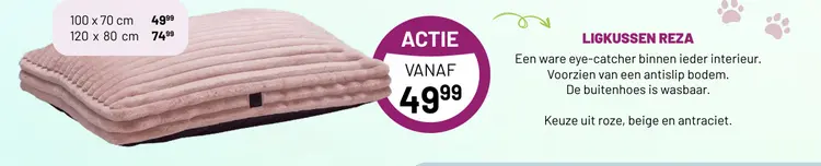 Aanbieding: Ligkussen reza