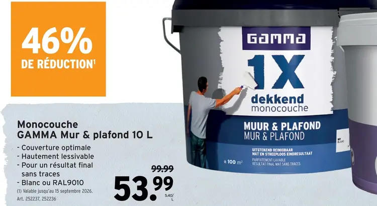 Offre: Monocouche GAMMA Mur & plafond