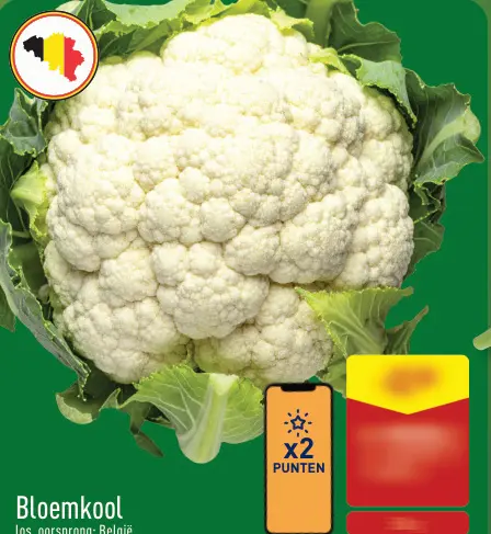 Promotie: Bloemkool