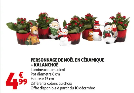 Aanbieding: Personnage de noël en céramique + kalanchoë