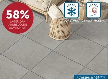Aanbieding: Tegel Logan Grey Rt 60x60x2cm