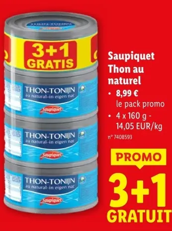 Offre: Thon au naturel