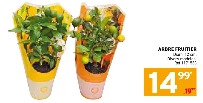 Offre: Arbre fruitier