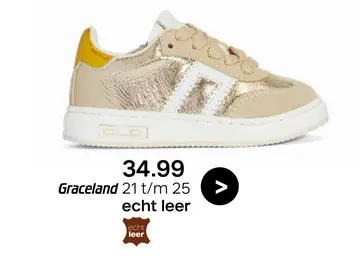 Aanbieding: Graceland