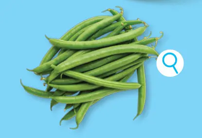Offre: Haricots verts