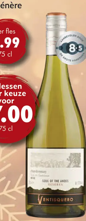 Aanbieding: Ventisquero Reserva Chardonnay