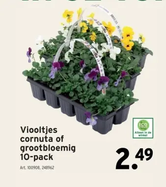 Promotie: Viooltjes cornuta of grootbloemig