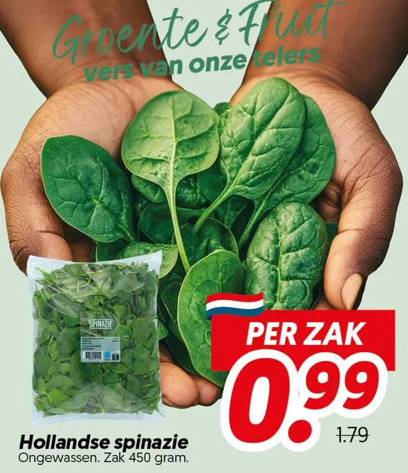 Hollandse spinazie