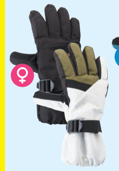 Aanbieding: Skischoenen dames