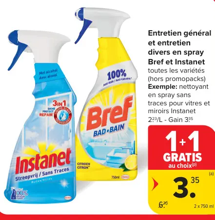 Offre: Entretien général et entretien divers en spray