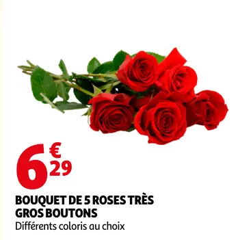 Promotie: Bouquet de 5 roses très gros boutons