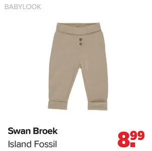 Aanbieding: Swan Broek Island Fossil