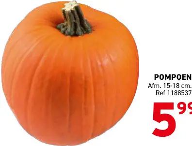 Promotie: Pompoen