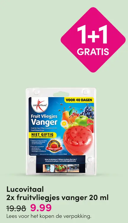 Aanbieding: Fruitvliegjes vanger