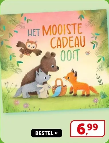 Aanbieding: Het mooiste cadeau ooit