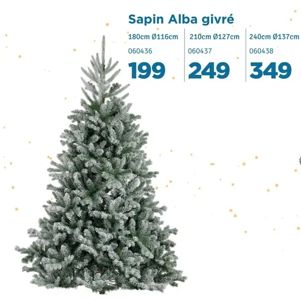 Offre: Sapin Alba Givré