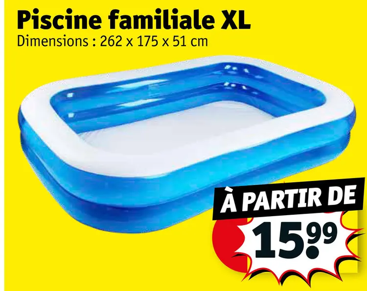 Offre: Piscine familiale XL