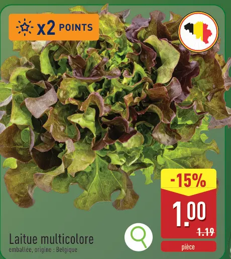 Offre: Laitue multicolore