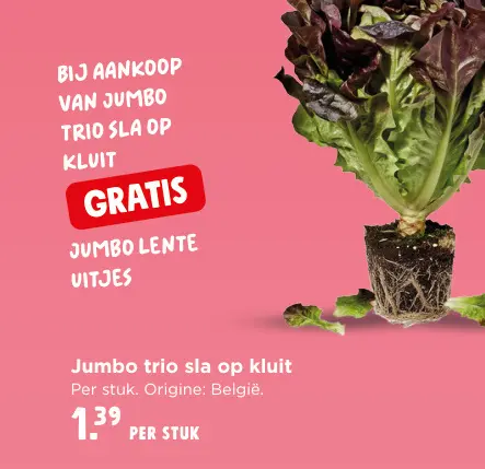 Promotie: Trio sla op kluit