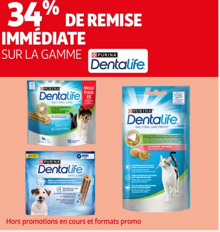 Offre: Dentalife