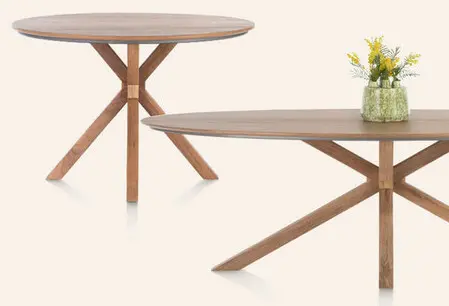 Promotie: Ronde tafel