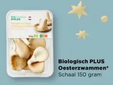 Aanbieding: Oesterzwammen