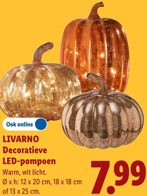 Aanbieding: Decoratieve LED-pompoen