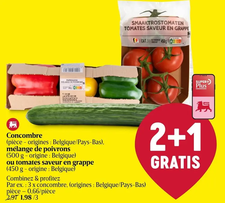 Offre: Concombre, mélange de poivrons ou tomates saveur en grappe