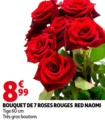 Promotie: Bouquet de 7 roses rouges red naomi