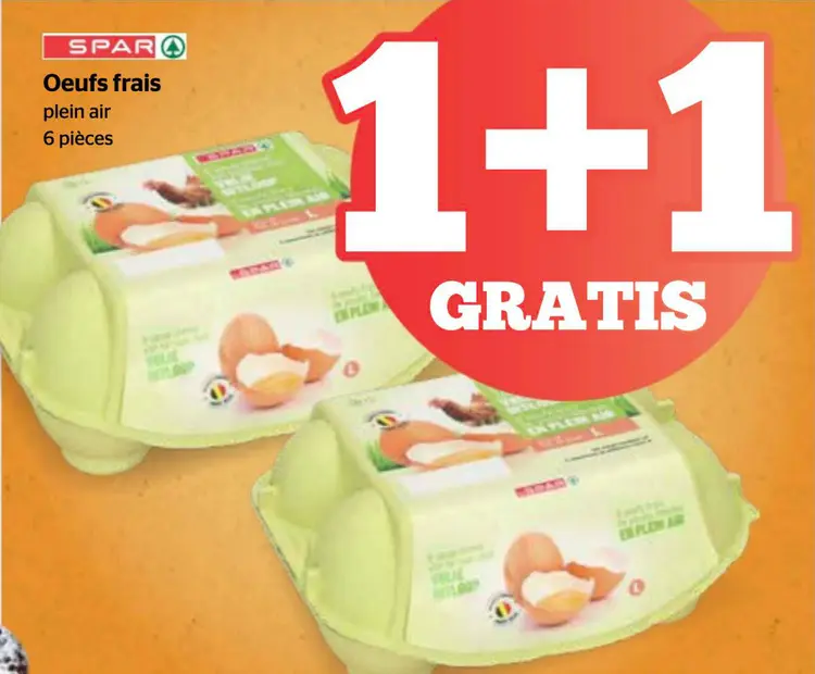 Offre: Oeufs frais