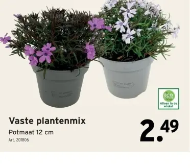 Promotie: Vaste plantenmix