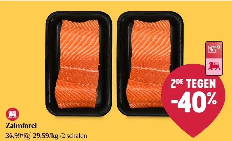 Promotie: Zalmforel