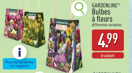 Offre: Bulbes à fleurs