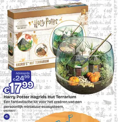 Aanbieding: Harry Potter Hagrids Hut Terrarium