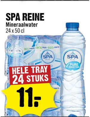 Aanbieding: Spa REINE