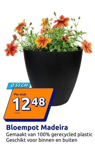 Aanbieding: Bloempot Madeira