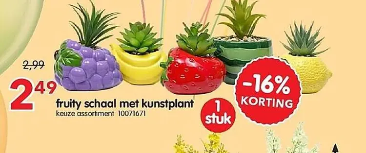 Promotie: fruity schaal met kunstplant