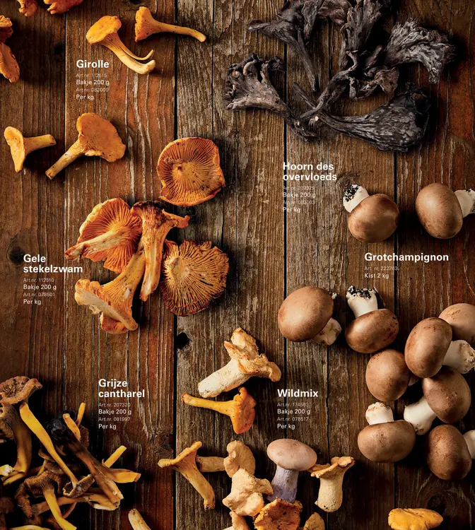 Aanbieding: Paddestoelen