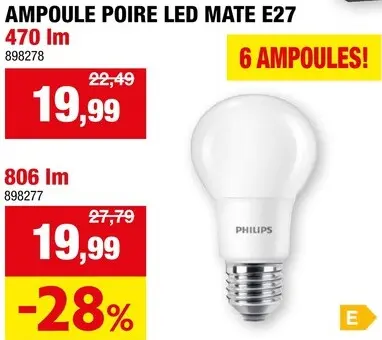 Offre: Ampoule poire LED mate E27