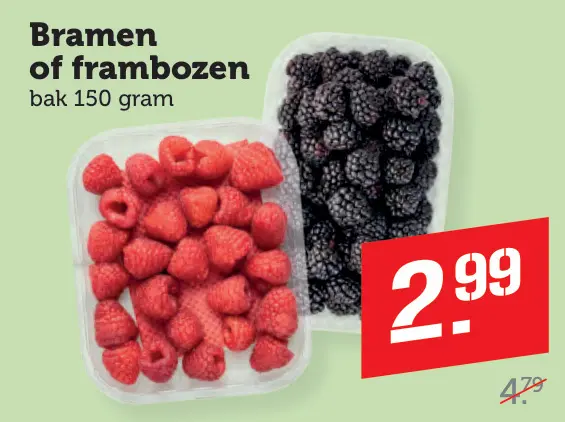 Aanbieding: Bramen of frambozen