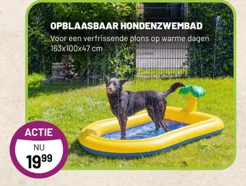 Aanbieding: OPBLAASBAAR HONDENZWEMBAD