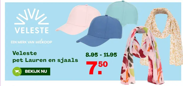 Aanbieding: Beeztees zwembad + sprinkler