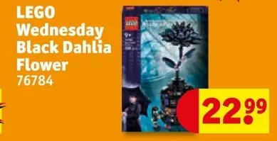 Aanbieding: Wednesday Black Dahlia Flower